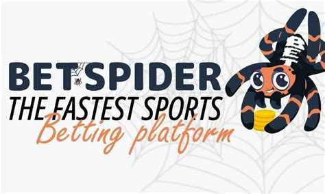 BetSpider .